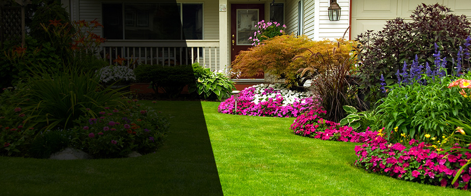 Kingstree Landscapers