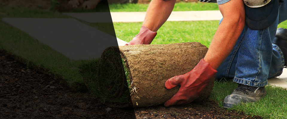 Kingstree Landscapers